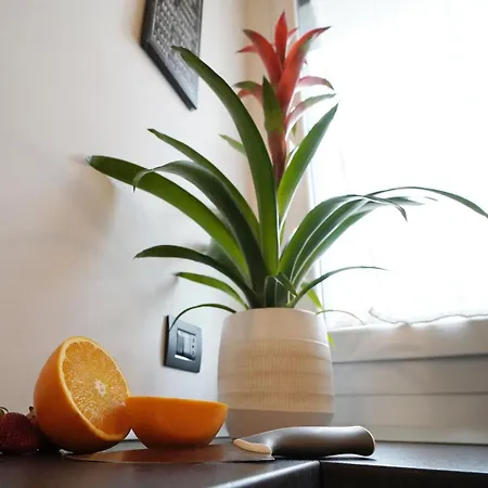 Studio With Gym Near Milan Metro Апартаменты *